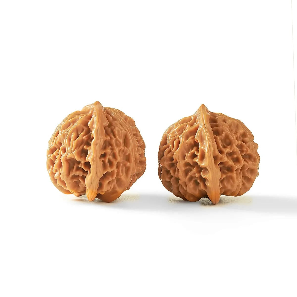 Lantern PanPan Walnuts
