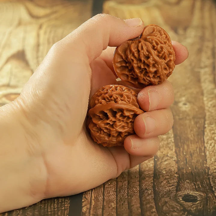 Lantern PanPan Walnuts
