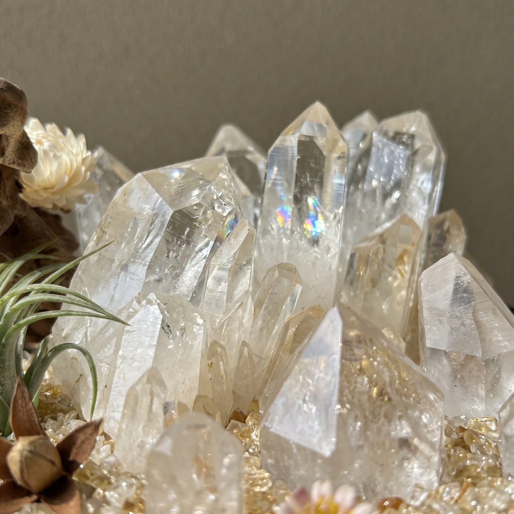 Sunlit Forest Crystal Garden