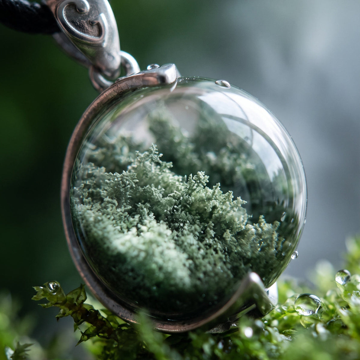 A Miniature Mountain of Abundance & Growth