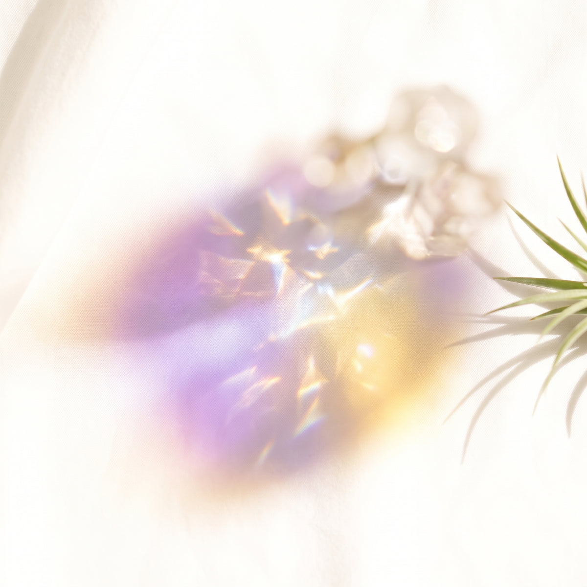 Violet Peak Crystal Garden